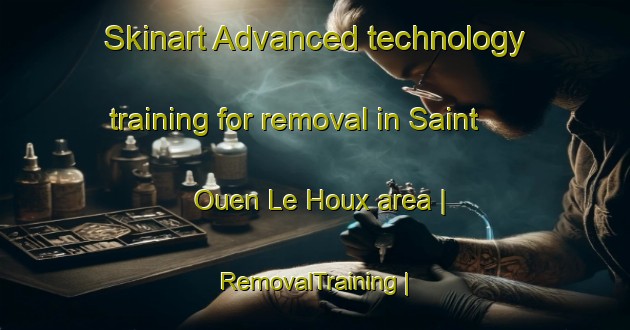 Skinart Advanced technology training for removal in Saint Ouen Le Houx area | RemovalTraining | RemovalClasses | SkinartTraining-France